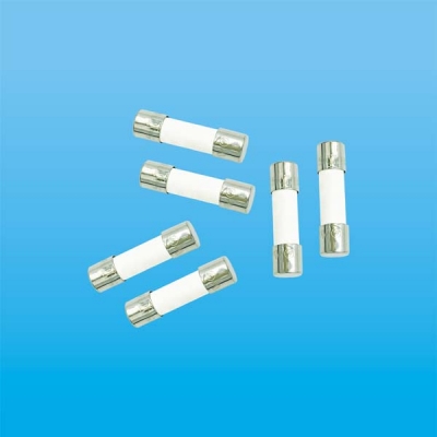 5N Φ5.2×20 陶瓷管保險(xiǎn)絲（慢斷型）